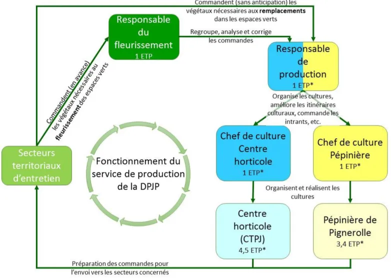 Figure 1 : Schéma du fonctionnement général du service de production horticole ornementale de la ville d'Angers 