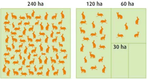 Figure  20  –  Les  effets  de  la  fragmentation  sur  les  habitats,  le  cas  du  lièvre  commun  sur  le  plateau  Suisse  d’ap ès R