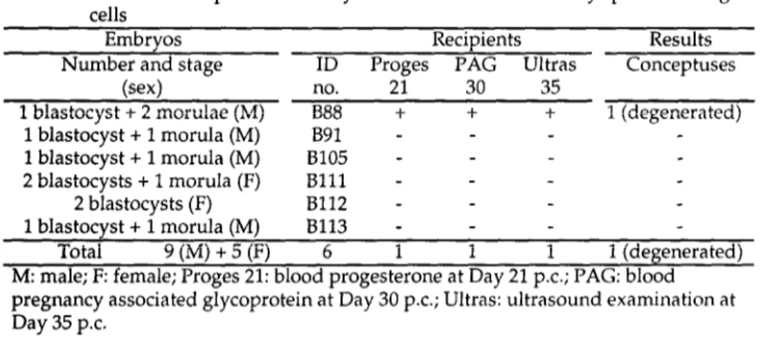 Table  3.  In  vivo  development  of  embryos  reconstituted  with  48  days  post  coitum  germ  cells 