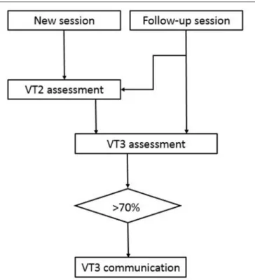 FIGURE 1 | Experimental procedure. The first session for a new patient always starts with a VT2 assessment followed by a VT3 assessment