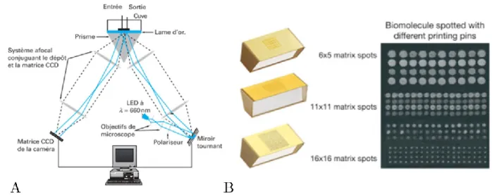 Figure 2-5A : Exemple de configuration d’un banc d’imagerie à  résonance des plasmons de surface   [41]