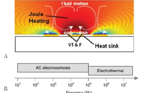 Figure 2-17 : A : Sens de circulation du fluide au-dessus des électrodes dans le cas d’un flux  électrothermique [106]