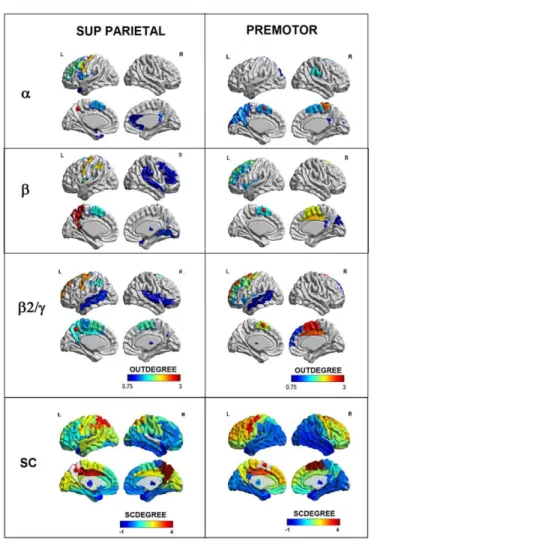 Figure    2:      Directed functional connectivity across cortical regions after TMS.    First three rows : snapshot  of  differences  between  baseline  and  post  TMS  stimulus  directed  functional  connectivity  (i.e.,  Outdegree)  at 
