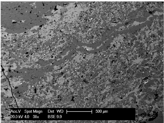 Figure 2: veins seen with BSE microscope. Rich selenium galena (clausthalite)  are bright white small spots  