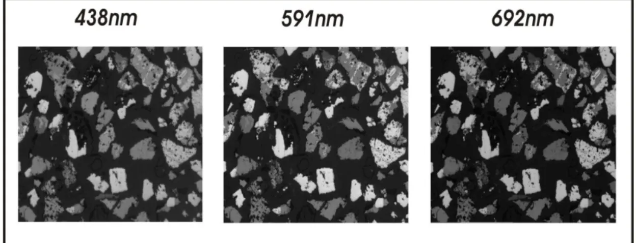 Figure 4: three images of the same area picture with different wavelengths 
