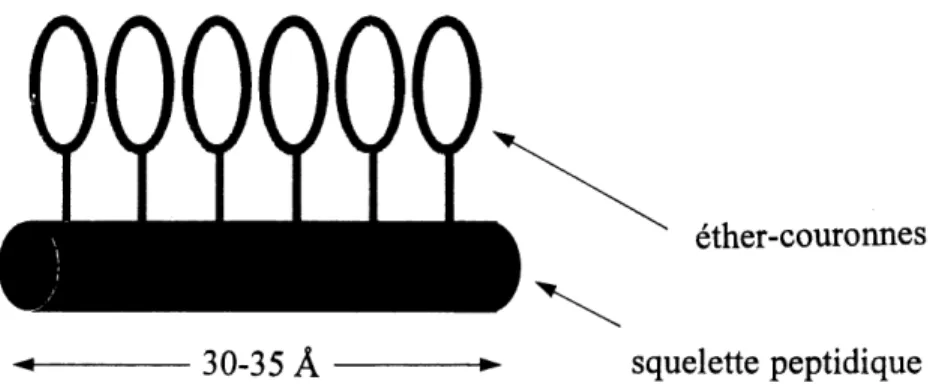 Figure 15. Conception d'un modele de canal ionique artificiel de nature