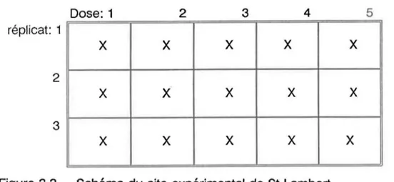 Figure 3.3  Schéma du site  expérimental de St-Lambert 