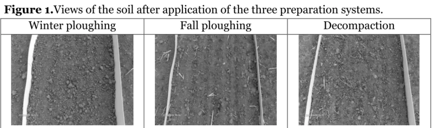 Figure 1.Views of the soil after application of the three preparation systems. 