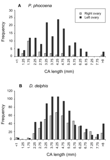 Fig. 2.  The total number of corpora scars (corpora albicantia  and  corpora lutea) in small cetacean ovaries in the  BIOCET sample as a function of age in (A) P