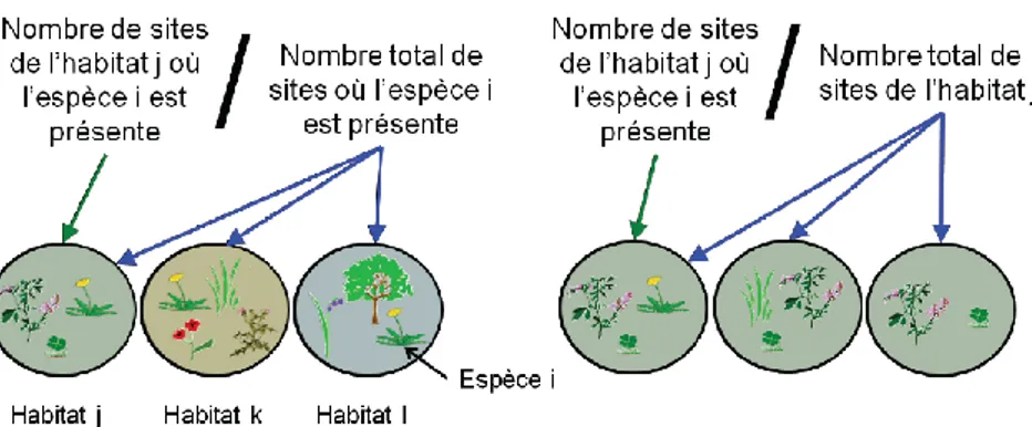 Figure 1: Principe du calcul de IndVal (Source: (Turcati, 2011)) 