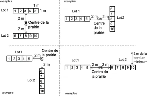 Figure 2: Les quatre configurations possibles des quadrats au sein de la prairie 