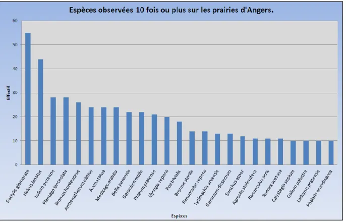Figure 5: Espèces observées au moins 10 fois sur les prairies d'Angers. 