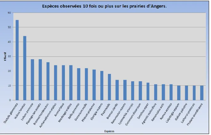 Figure 5: Espèces observées au moins 10 fois sur les prairies d'Angers. 