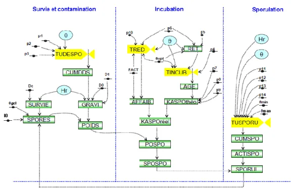 Figure 1. Diagramme du modèle Mileos ®  d’après Rakotonindraina (2012).  