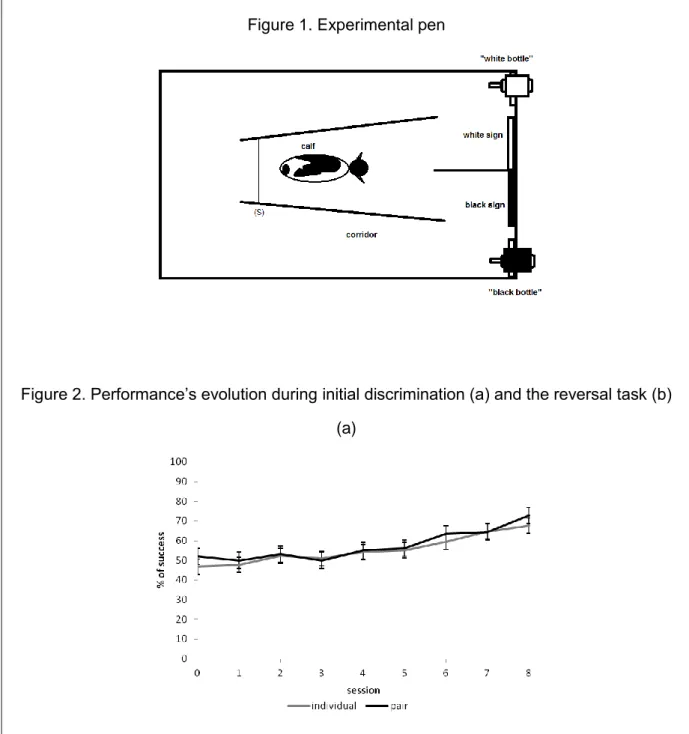 Figure 1. Experimental pen 