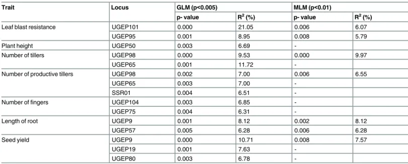 Table 3. The details of genomic SSR markers associated with leaf blast resistance and agronomic traits using GLM and MLM methods in 128 geno- geno-types of finger millet.