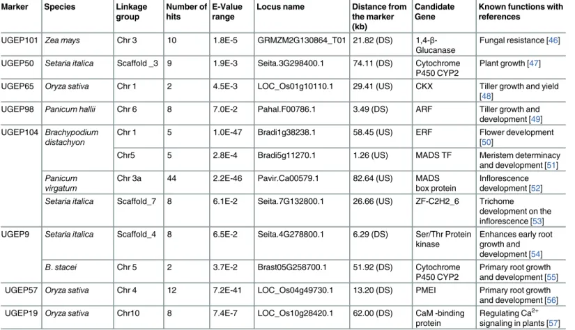 Table 4. The details of the putative candidate genes identified on other grass species genomes, proximal to the orthologous regions for the finger millet QTLs by in silico comparative genomics analysis