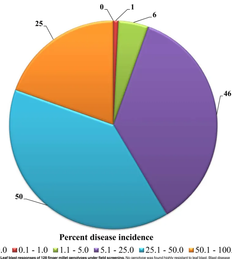 Fig 1. Leaf blast responses of 128 finger millet genotypes under field screening. No genotype was found highly resistant to leaf blast