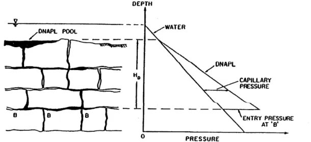 Fig. 3. Pénétration of NAPL in fractured rocks (after Kueper and McWhorter, 1991).