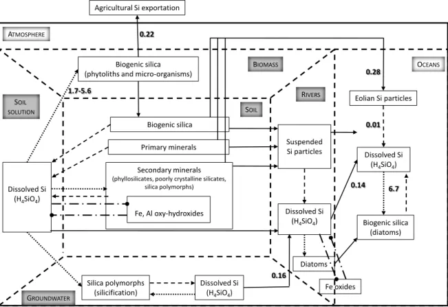 Fig. 1. Biogeochemical Si cycle on continents (compartments modified from Basile-Doelsch et al., 2005)