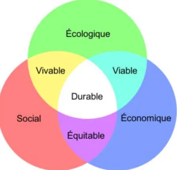 Figure 1 : Les trois piliers de la durabilité 
