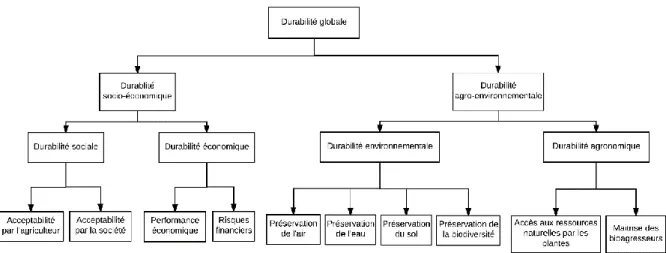 Figure 7 : Structure haute de l'arbre de décision DEXi VERtiCAL (Bernard, 2014b) 