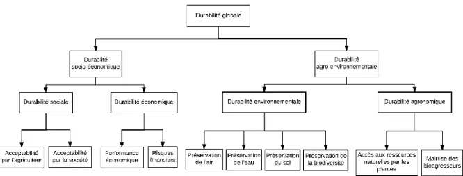 Figure 7 : Structure haute de l'arbre de décision DEXi VERtiCAL (Bernard, 2014b) 