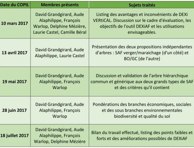 Tableau 1 : Organisation des COPILS : dates, membres présents et sujets abordés 