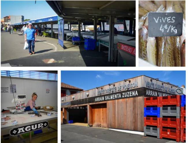Figure 2 : Photographies du marché aux poissons de Capbreton (en haut) et du local de vente  directe de Ciboure (en bas) [photographies Antoine BALAZUC, avril 2014]