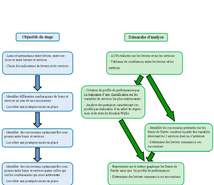 Figure 5 : Schéma de la démarche d’analyse mise en place, en lien avec les objectifs du stage 