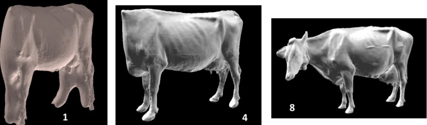 Figure 2 : Exemples de 3 reconstructions de Poisson d’images 3D ayant 3 notes de qualité d’image différentes allant de 1 à 8