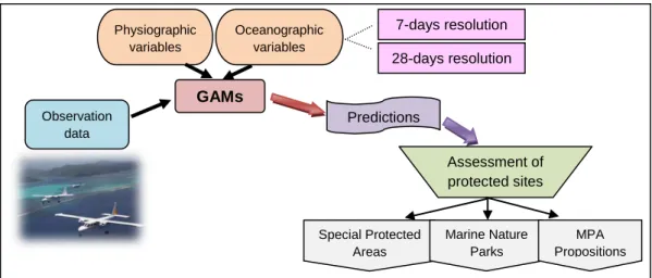 Table 1. – Composition of seabird groups.  Taxonomy was extracted from WoRMS ( WoRMS Editorial  Board, 2014) and pictures were provided by Oiseaux.net (2014)