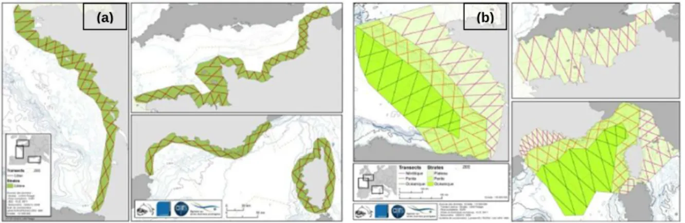 Fig.  7.  – Sampling design: transects planned in (a) coastal stratum; (b) neritic, slope and oceanic strata  (from  light  green  to  dark  green)  (Pettex  et  al.,  2012)