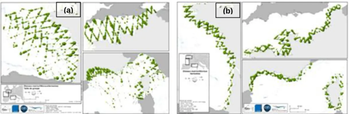 Fig.  8.  –  Example  distribution  map  of  all  seabird  sightings  throughout  the  study  area  in  summer:  (a)  neritic, slope and oceanic strata; (b) coastal stratum (Pettex et al., 2012)