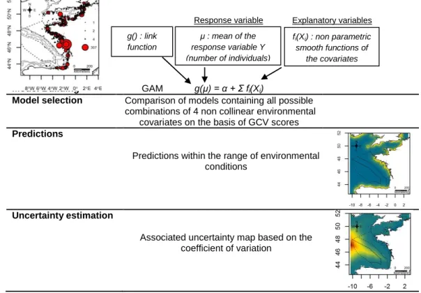 Fig. 10. – Stages of habitat modelling (example of herring gull complex in winter). 