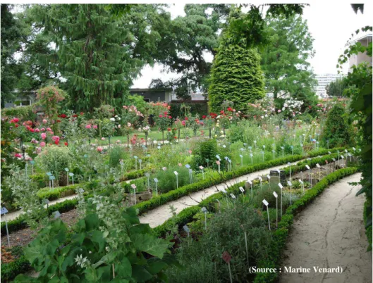 Figure 6 : Ecole de botanique du Jardin des Plantes de la Ville de Rennes (35) - 26/06/2014 