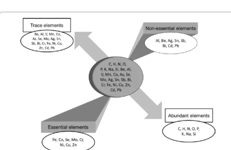 Figure 1: Some essential and non-essential elements, abundant or in traces  (modified after Ref