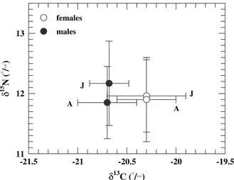 Fig. 1. Muscle d 13 C and d 15 N values of male and female harbour porpoises from Ukrainian coast (J: juveniles; A: adults).