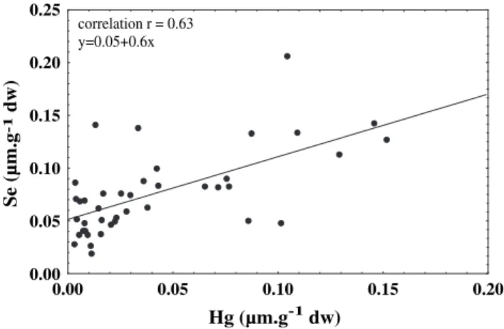 Fig. 3. Relationship between Zn and Cu concentrations in the livers of harbour porpoises from the Ukrainian coast of the Black Sea.