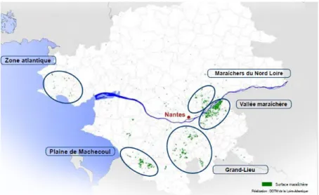 Figure 1 : Localisation des exploitations maraîchères en Loire-Atlantique (Source : DDTM Loire-Atlantique) 