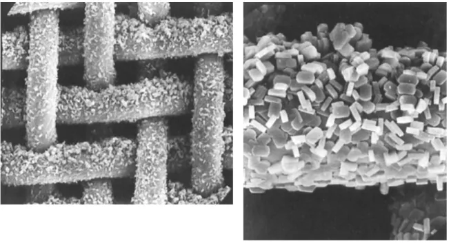 Figure 1.7- SEM images of the ZSM-5 zeolite coated on stainless steel wire gauze using the in-situ  method