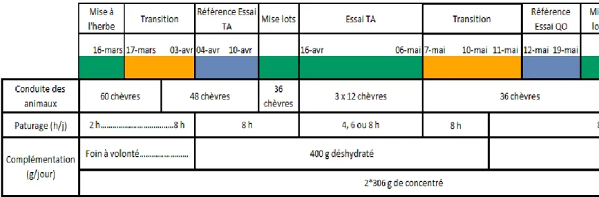 Figure 3 : Calendrier de déroulement des essais sur le temps d’accès (TA) et la quantité d’herbe offerte (QO)