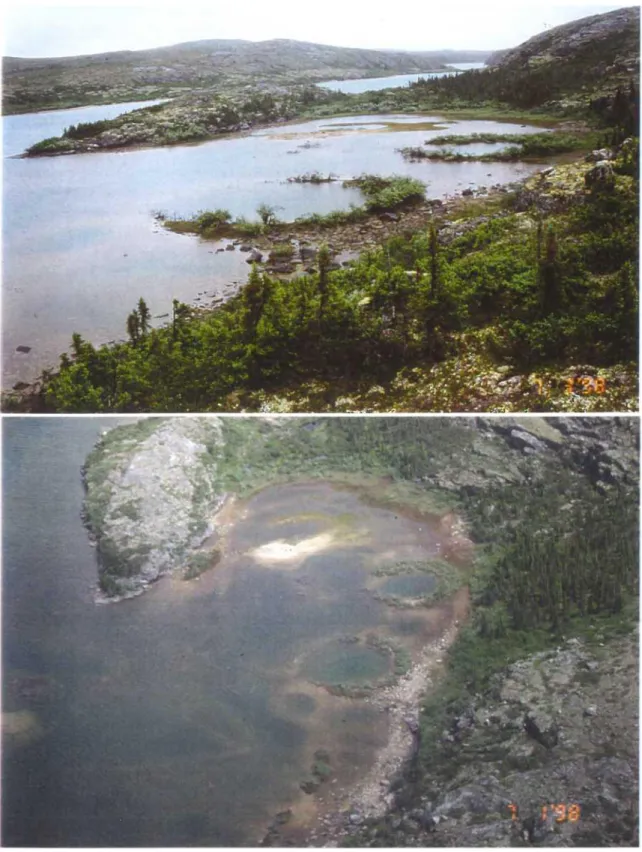 Fig. 9 et 10. Photos prises d'avion et du sol de traces de Iithalses localisées près de la rivière Boniface dans  le Québec septentrional (57°45' N, 76 o 15W, à proximité du Camp de recherche du Prof