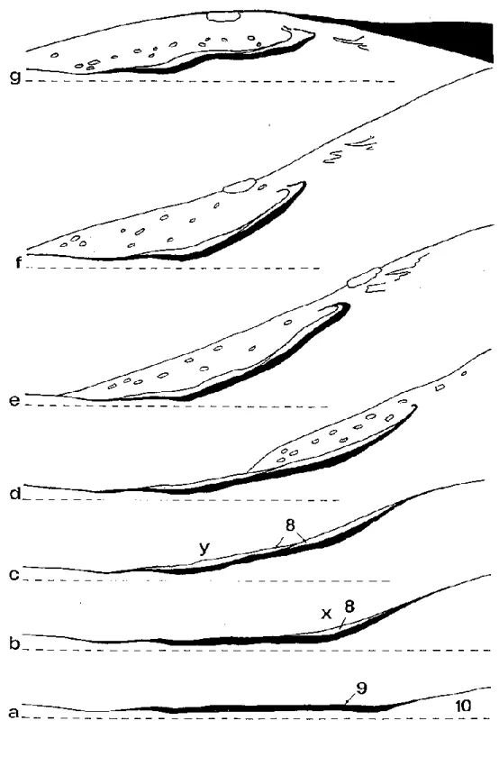 Fig. 5. Schéma montrant comment s'est constitué le rempart dont la coupe est donnée sur la figure 4
