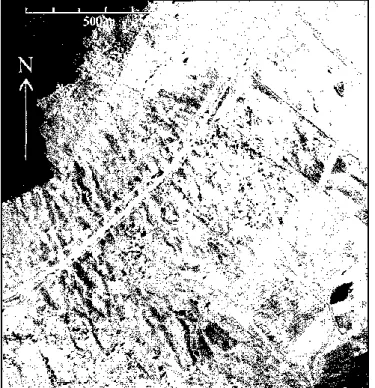 Figure 4. Traces de lithalses de formes diverses (allongées et autres) à l’ouest de Simmerath sur  la pente exposée à l’est de Hoscheit