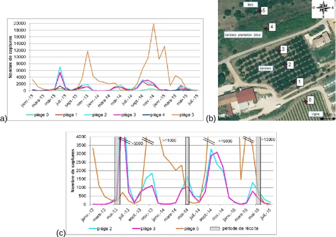 Figure 15 : (a) Courbes de captures mensuelles de janvier 2013 à juillet 2015 des pièges situés dans la  parcelle 1 de producteur et son environnement proche