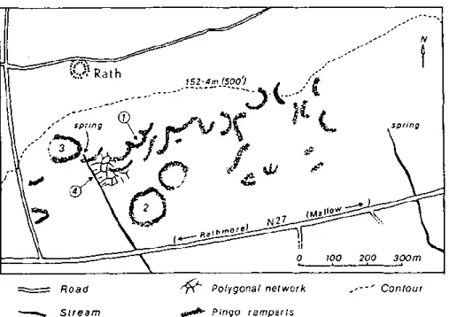 Figure 3. Allure des remparts attribués à des pingos à Meenskeha, localité qui se trouve à l’emplacement  du point 3 sur la figure 2