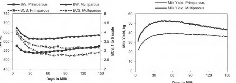 Figure 02 : Cinétique du poids vif (BW en kg), de la note d’état corporel (BCS, notée de 1 à 5) et de la 