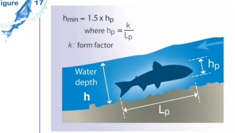 Diagram showing the water depth seen as the minimum required for fish to swim adequately.