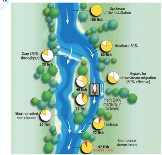 Diagram of a typical installation and basis for modelling the downstream migration.